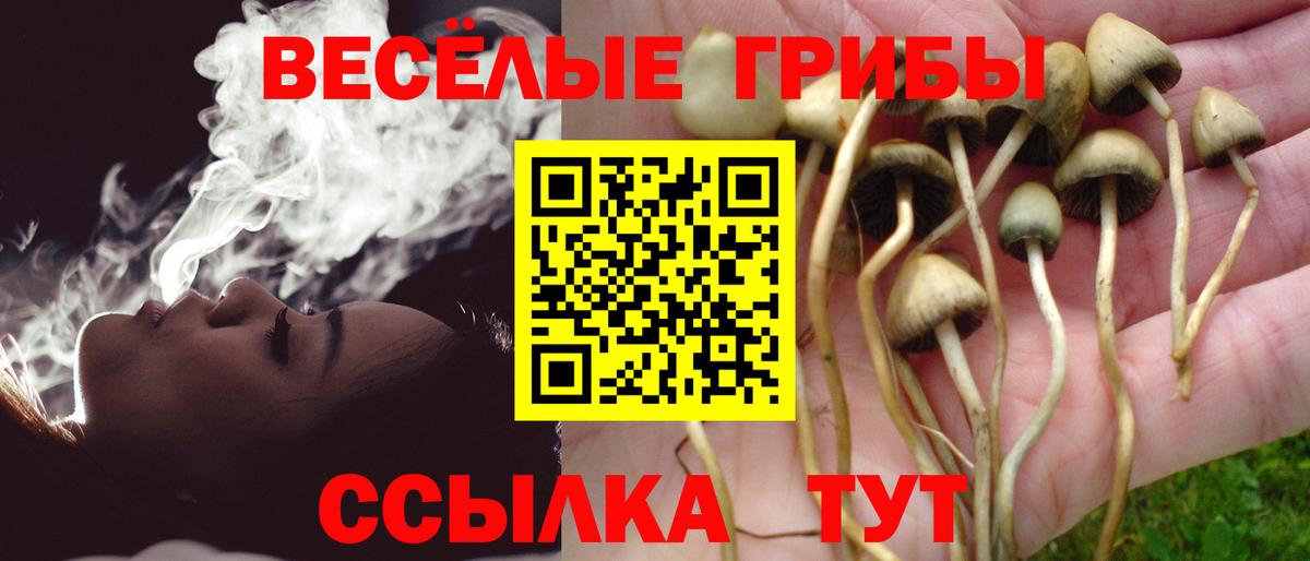 Галлюциногенные грибы ЛСД Стрежевой
